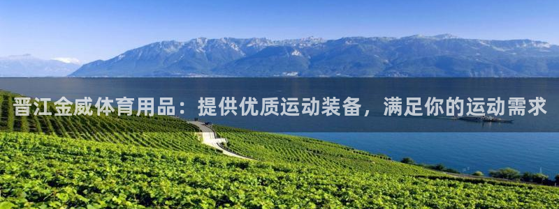 欧陆娱乐公司产品介绍怎么写:晋江金威体育用品:提供优质运动装