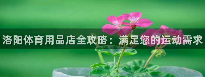 欧陆娱乐注册代理:洛阳体育用品店全攻略:满足您的运动需求