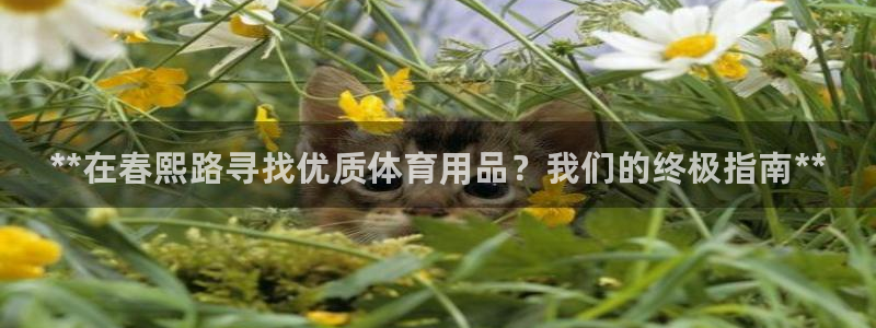 欧陆娱乐注册链接怎么弄:**在春熙路寻找优质体育用品?我们的